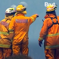 Polar Vortex and Heatwave Happening Simultaneously