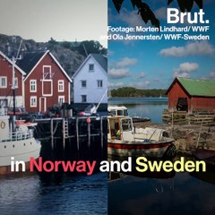 If you paid eco-taxes in these countries