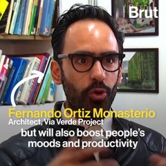 The "Green Way" project is expanding in Mexico city