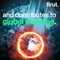 What is the environmental impact of e-scooter sharing?