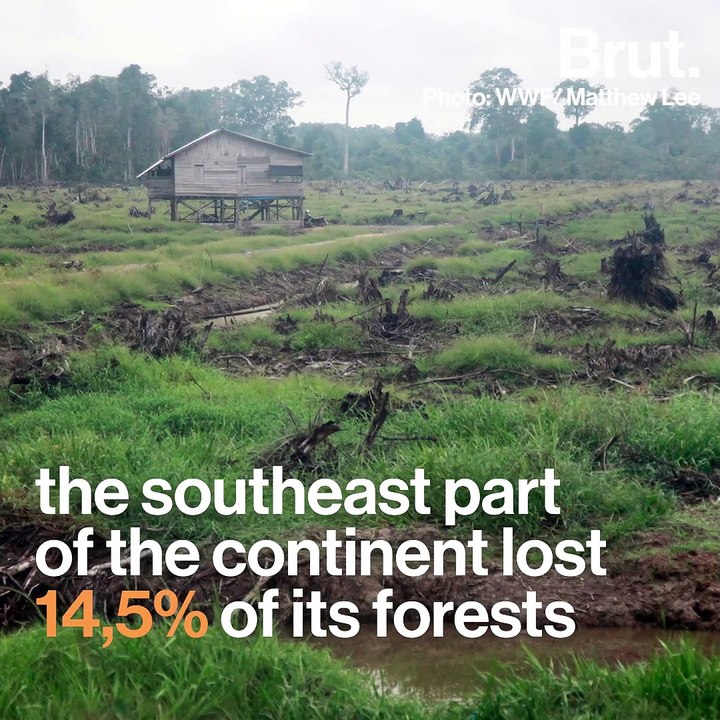 The biodiversity crisis in numbers