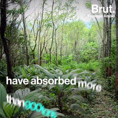 10 years challenge regarding: some positive changes