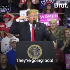 Donald Trump attempts other languages