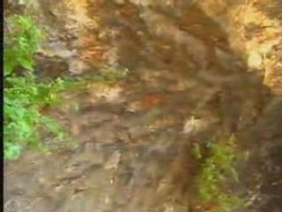 Varto/Gimgim (5.Bölüm) “Varto mala xwadêye...“