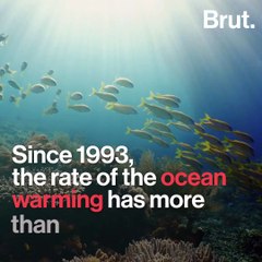 IPCC report: the ocean more threatened than ever
