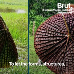 Interview with Vincent Callebaut about new pioneering urban models