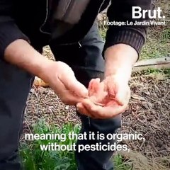 Interview Christophe Gatineau on earthworms' essential role