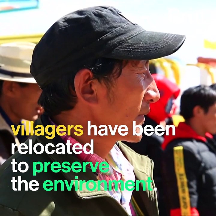 Tibet is protecting its wild animals from humans