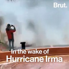 Pope Francis on climate change