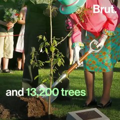 Interview with the Mayor of Sydney