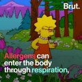 Allergies are on the rise