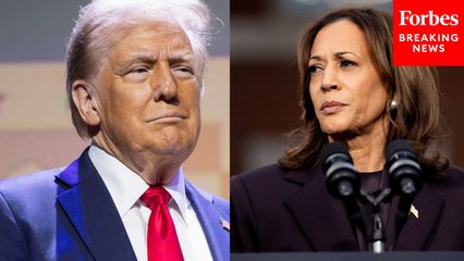 Gen Z Could 'Become One Of The Most Conservative Generations': Data Shows Why Democrats Lost In 2024