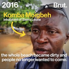 Sargassum seaweed is a threat to biodiversity