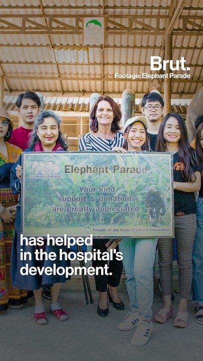 Meanwhile in Thailand, a hospital for elephants...