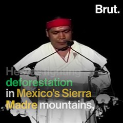 207 environmental activists were killed in 2017