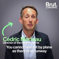 The nature reserve of the French Southern Lands