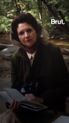 The life of Rachel Carson, American marine biologist and environmentalist