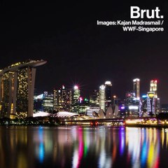 Some encouraging news for environmentalists