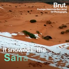 It snowed in the Sahara desert