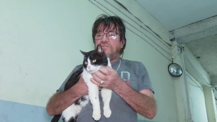 tn7-rescatista-pide-ayuda-para-salvar-30-gatos-250325