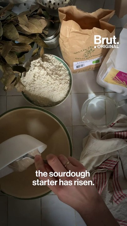 Sourdough bread recipe: a lockdown special