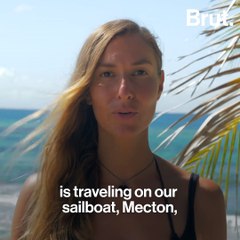 This project aims to demystify the image of sharks