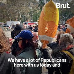 Trump Met With Protests at Veterans Day Parade