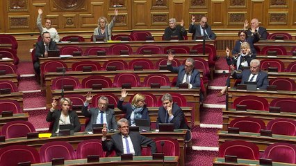 Droit du sol à Mayotte : le Sénat assouplit la proposition de loi de l’Assemblée _copy