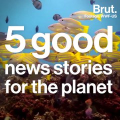 5 good news stories for the planet