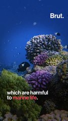 Get Sun Protection That Respects the Environment