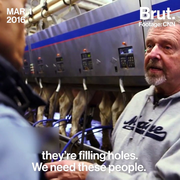 Undocumented farm workers
