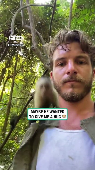 Lach dich schlapp mit Lustige Pfoten Ч. 8