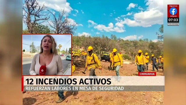 Reportan 12 incendios activos en Chihuahua; hay 10 mil hectáreas afectadas