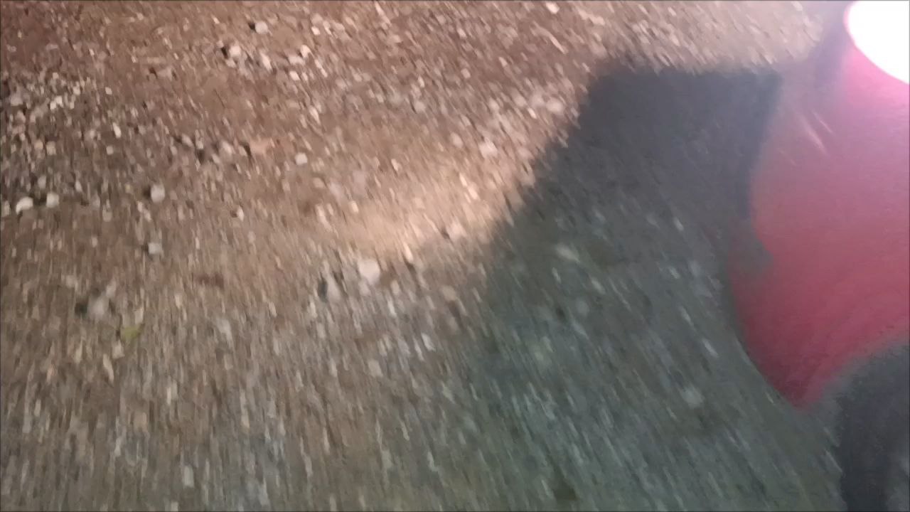 crapauds ! ça y est c'est le printemps !!! Ils sont partout 😅 nb : espèce menacée à protèger +++ GARD 25/03/25