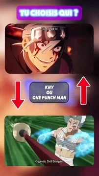 KNY OU ONE PUNCH MAN Fais ton choix