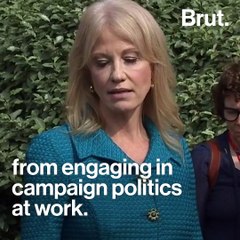 Trump Urged to Fire Kellyanne Conway