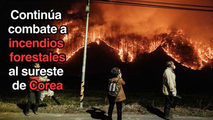 Bomberos surcoreanos avanzan en el control de incendios forestales en el sureste del país