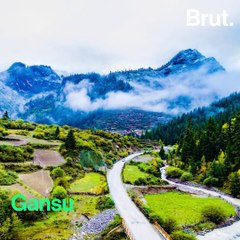 China's got a new plan to protect giant pandas