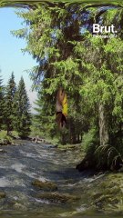 This French hiking trail is one of the longest in Europe