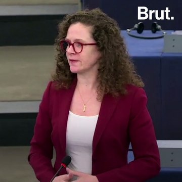 EU Anti-Immigration Laws Similar To Trump's Wall?