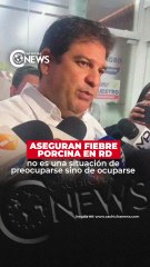 Aseguran fiebre porcina en RD no es una situación de preocuparse sino de ocuparse