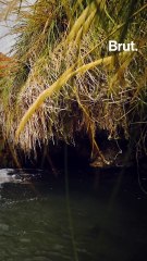 The Atacama, the oldest desert in the world