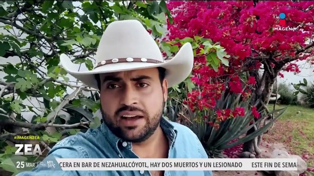 Taurinos alertan sobre la supervivencia de los toros de lidia tras el dictamen que prohíbe las corridas sin violencia