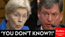'Is That A Question?': Warren Has Tense Exchange With Trump's Social Security Chief Nominee