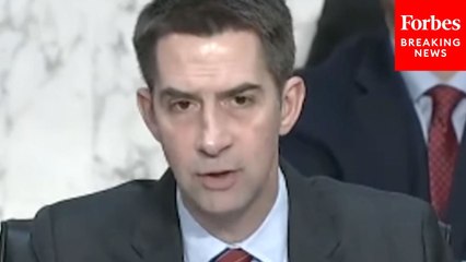 'Code Pink Lunatic': Tom Cotton Slams Anti-Israel Protesters Disrupting Hearing