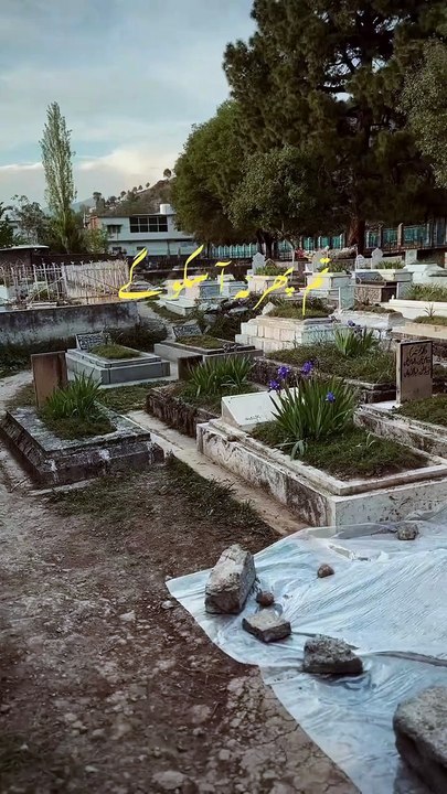 Everyone soul deth |respect to everyone in life#sweett#islamic relationship