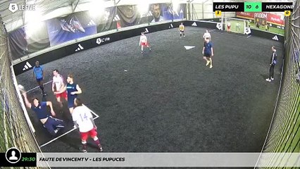 Faute de Vincent V - Les Pupuces