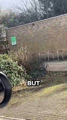 Caught This Karen Littering