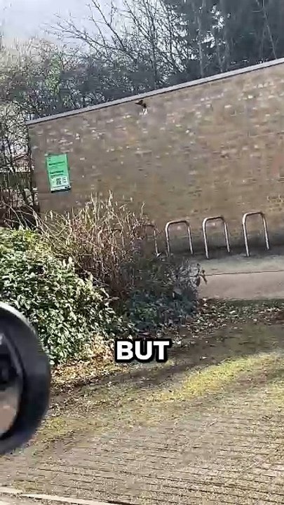 Caught This Karen Littering