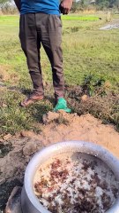 বনভোজনের আয়োজনের চাতলা পুর চা বাগানে